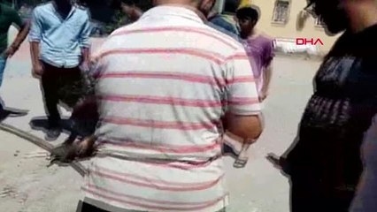 ADANA ALEVLERİN ARASINDA KALAN YAVRU KÖPEKLER KURTARILDI