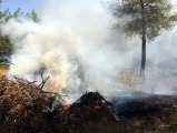 Bodrum'da çıkan orman yangınında alevler köylere ulaştı