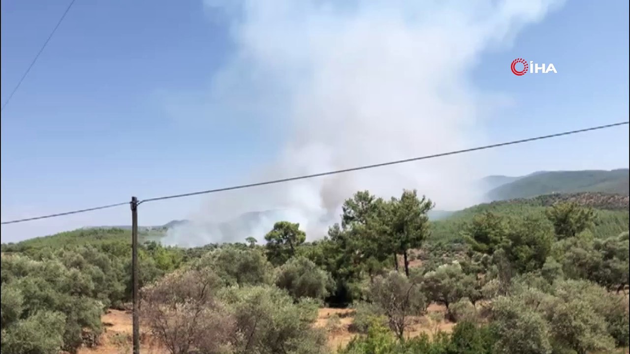 Bodrum'da korkutan orman yangını
