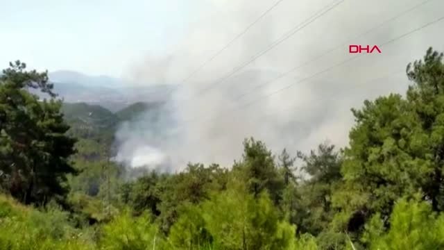 Muğla Bodrum'da ormanlık alanda yangın -YENİDEN