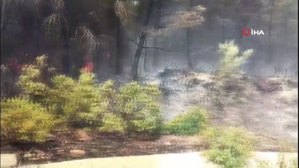 Bodrum’da çıkan orman yangınında alevler köylere ulaştı
