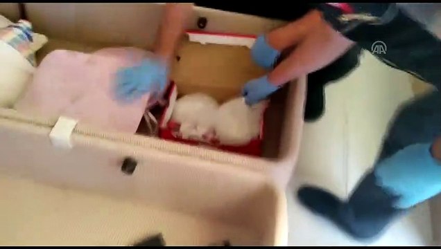 Polis baskınında bazada uyuşturucu ele geçirildi - BURSA