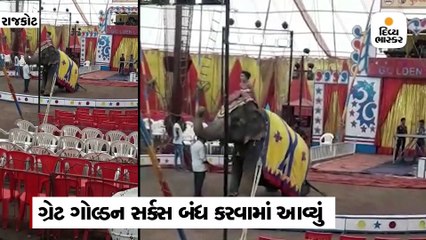 ગોલ્ડન સર્કસમાં પશુ-પક્ષીનો ઉપયોગ થતો હોવાથી અધિક કલેક્ટરે દરોડા પાડી બંધ કરાવ્યું