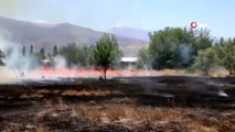 Anız yangınında 40 dönüm arazi yandı... Alevler yerleşim yerine varmadan söndürüldü