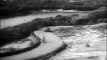 Leja Meri Duayen Leja Pardes Jane Wale – Film: DEEDAR (1951) — Lata Mangeshkar | From: Lata Forever: Black & White Hits – VOL: 2 | Hindi/Movie/Magic/Collection/Indian/लता मंगेशकर