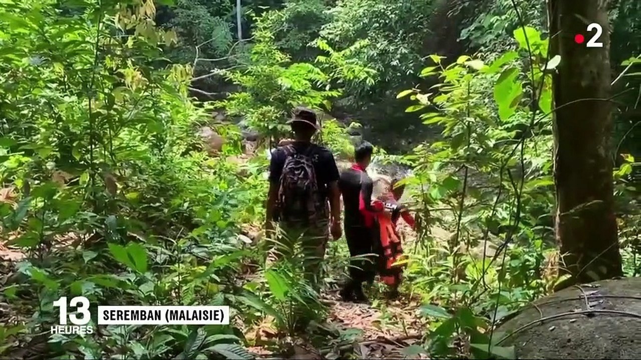 Adolescente française portée disparue en Malaisie : s'agit-il d'une fugue ou d'un acte criminel ?