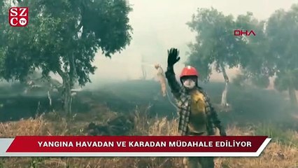 Bodrum’daki orman yangını büyüyor