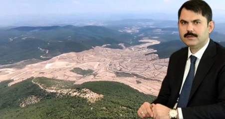 Bakan Kurum: Kaz Dağları'nda 13 bin ağaç kesildi