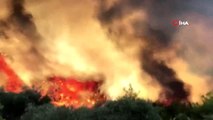 Bodrum'da çıkan orman yangınında alevler köylere ulaştı, mahalleli seferber oldu