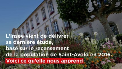 A quoi  ressemble  le Naborien  moyen ?