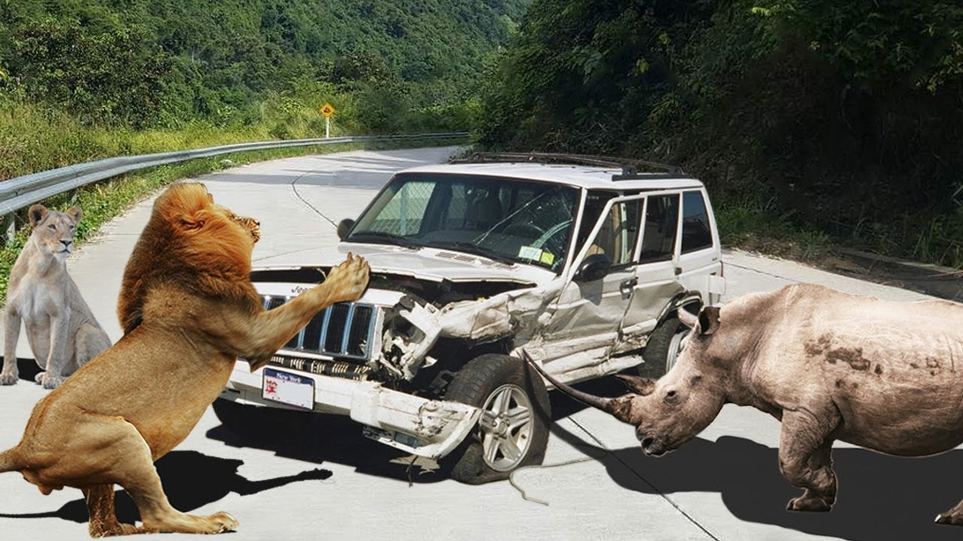 ⁣Wild Animal Attack Car - The Dangers Of Animals - Wild Animal Attack