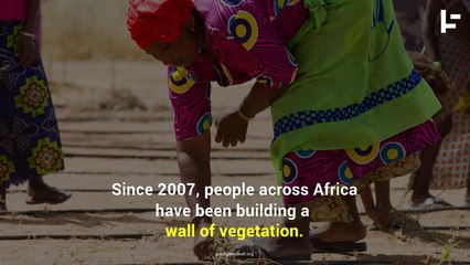 This is the Kind of Wall We Should be Building!