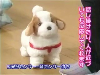 MAD 愛犬ロボ「エディ」