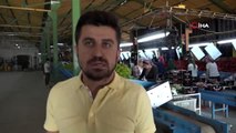 Yenişehir'den Avrupa'ya yılda 800 TIR biber ihraç ediliyor