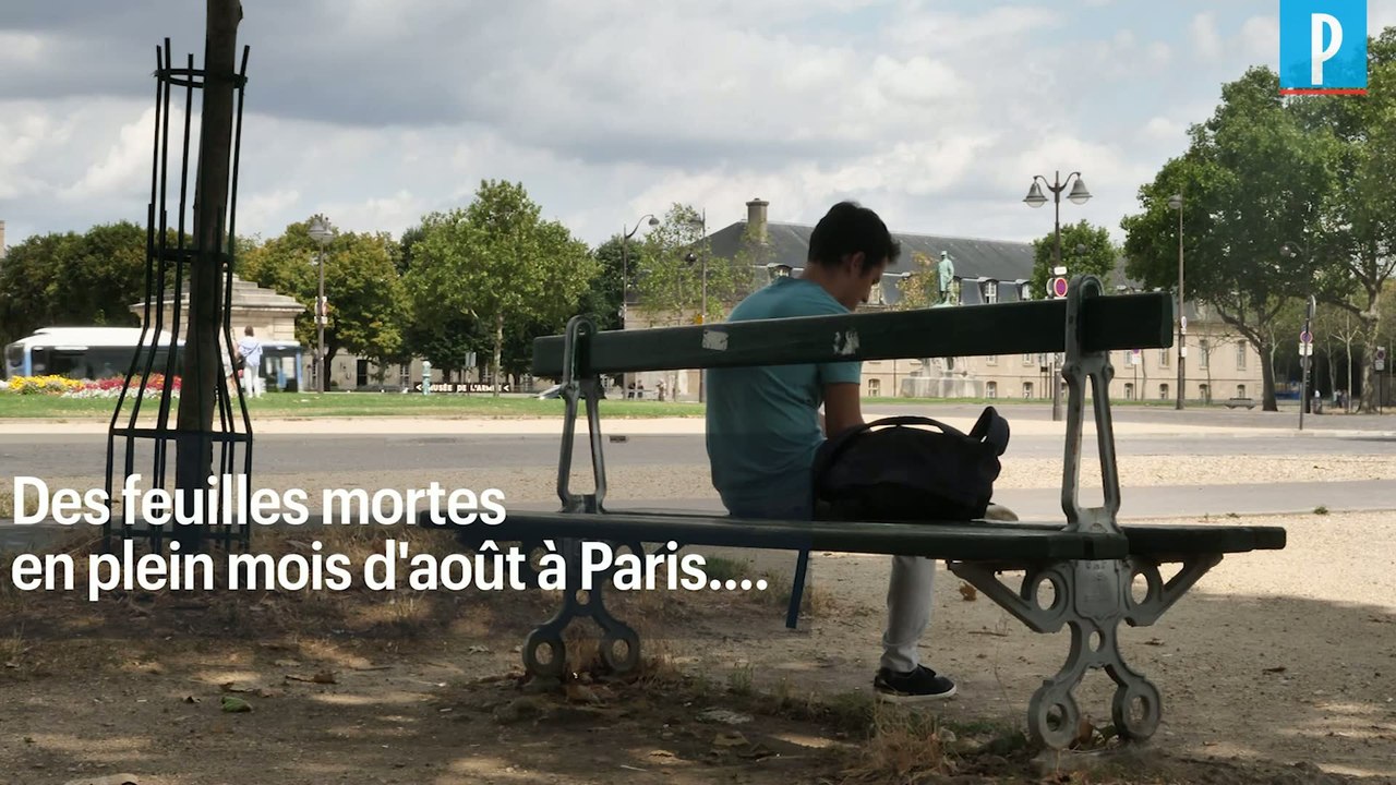 Des feuilles mortes à Paris... en plein mois d'août