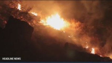 Seribuan Hektare Savana Gua Jepang Nagekeo Terbakar