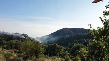Vaucluse : deux hectares de forêt détruits dans un incendie au Barroux