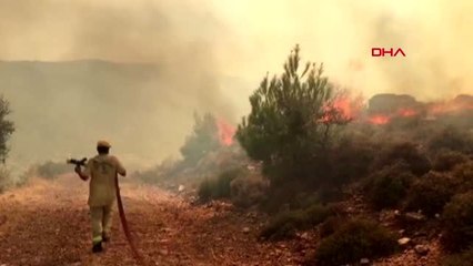 MUĞLA Bodrum Mumcular da orman yangını EK