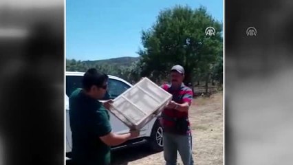 Saka kuşu yakalayanlara 81 bin 795 lira ceza