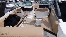 2019 Sea Ray SLX 280 Boat For Sale at MarineMax Long Island, NY