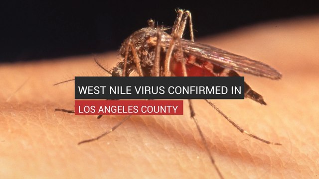 West Nile Virus Confirmed In Los Angeles County