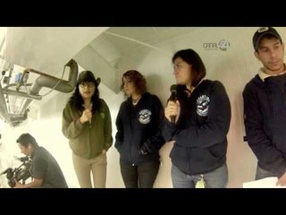 Desde el Zoológico: ¿Cómo se pesa un pingüino?