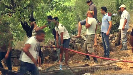 Bodrum’daki yangında 30 hektarlık alan kül oldu