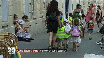 Pollution au plomb : un deuxième enfant scolarisé près de Notre-Dame dépisté avec un taux anormalement élevé