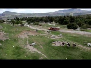 Desde el Zoológico: Hipopótamos