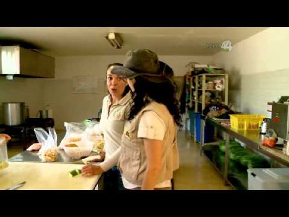 Desde el Zoológico: ¿Qué comen los animales del Zoo?