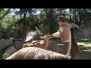 Desde el Zoológico: Visitando a los 'chamacos' del Zoológico Guadalajara