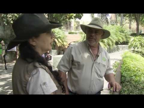 Desde el Zoológico: ¿Cómo se diseñan los albergues para animales?