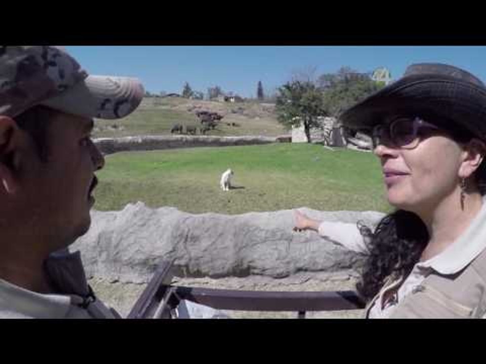 Desde el Zoológico: Albergue de los animales del Zoo