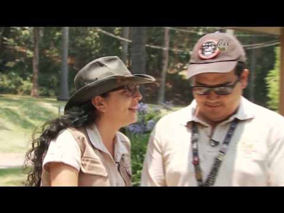 Desde el Zoológico: Enriquecimiento a Ágata