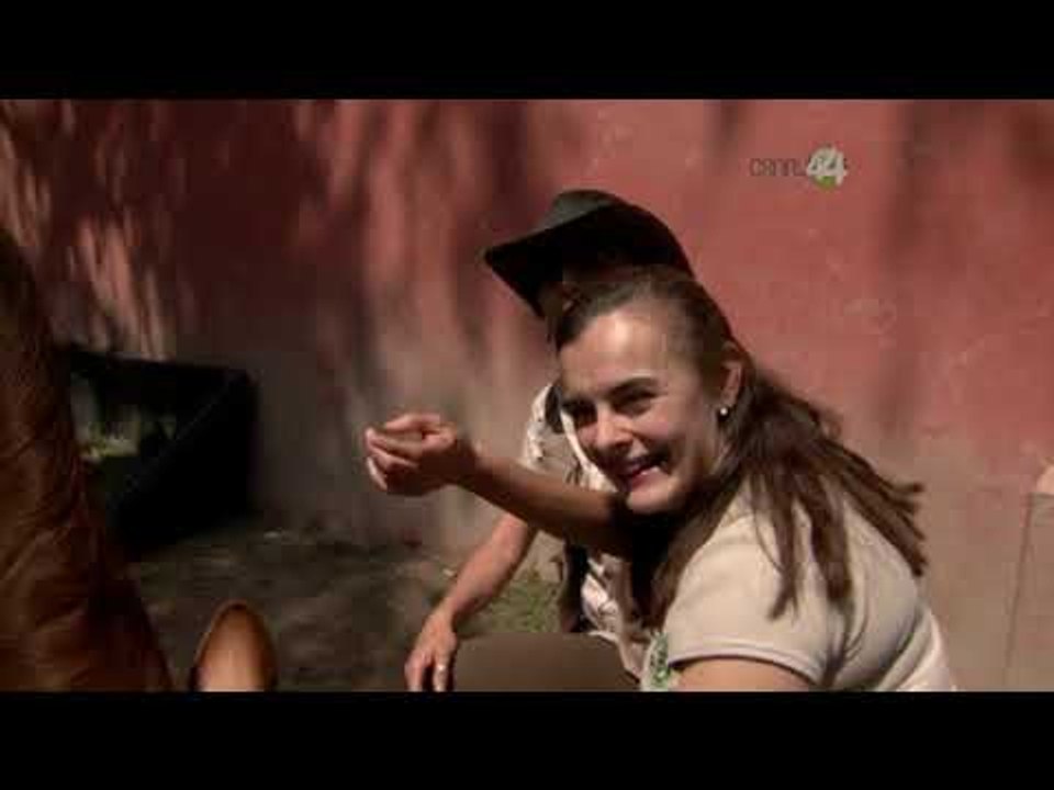 Desde el Zoológico: Espacio vital