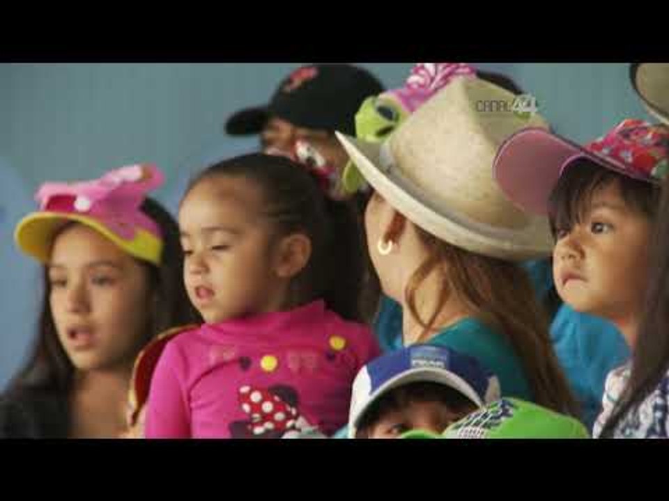 Desde el Zoológico: Nacen bebés pingüinos en el zoo