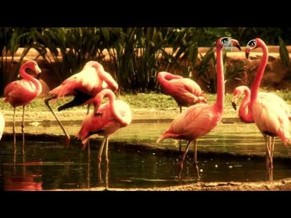 Desde el Zoológico: Visitamos el acuario del Zoo Guadalajara