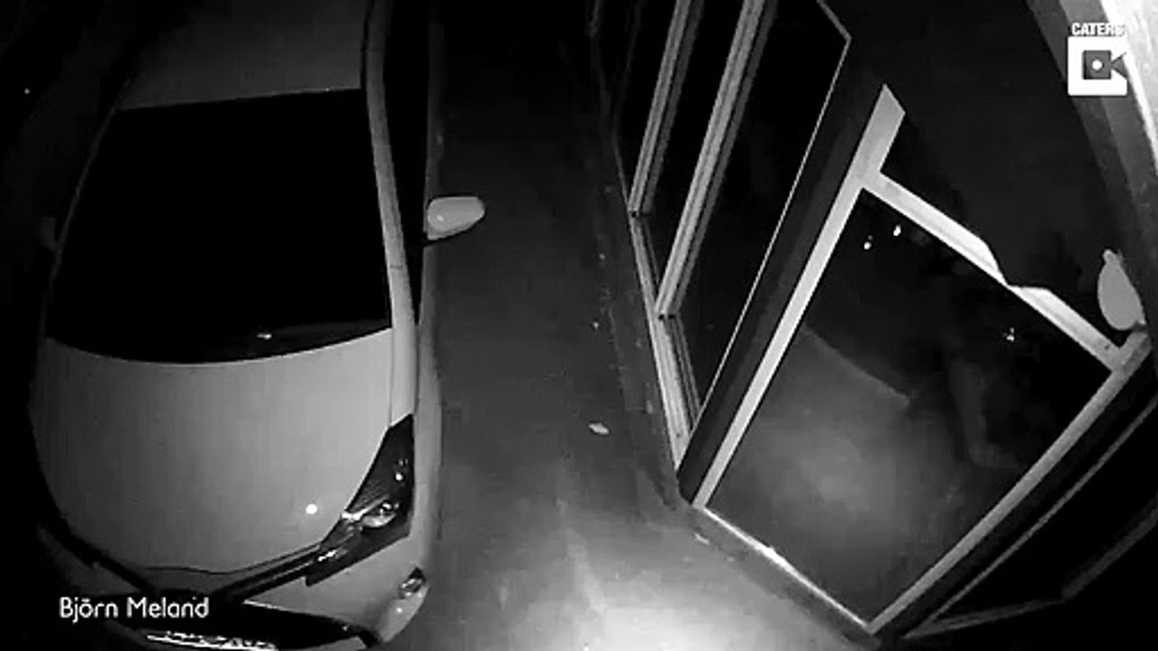 Ils pensent avoir filmé un fantôme avec leur caméra de surveillance