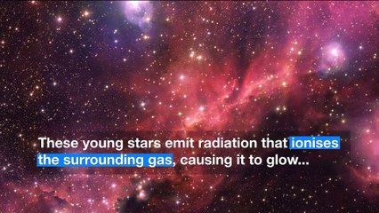 ESOcast 205 Light - The Rosy Glow of a Cosmic Seagull