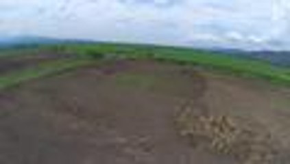 En video: humedales del Valle, arrasados para la ampliación de cultivos