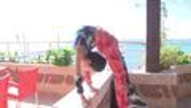 En video: este niño palestino sueña con batir el récord Guinness de flexibilidad