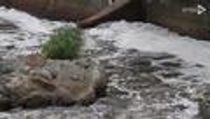 Video: R√≠o Cali amaneci√≥ te√±ido de negro este jueves