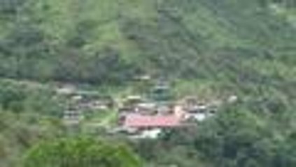 En video: esta comunidad indígena firmó la paz con las Farc hace dos décadas