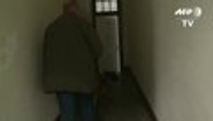 Perros detectores del cáncer de mama