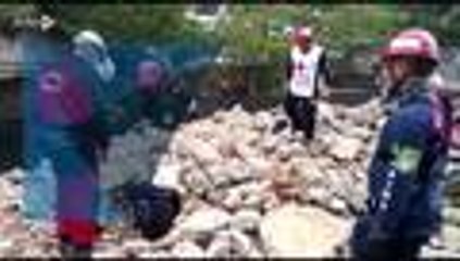 Curso internacional de busqueda y detección canina Bomberos Cali_3