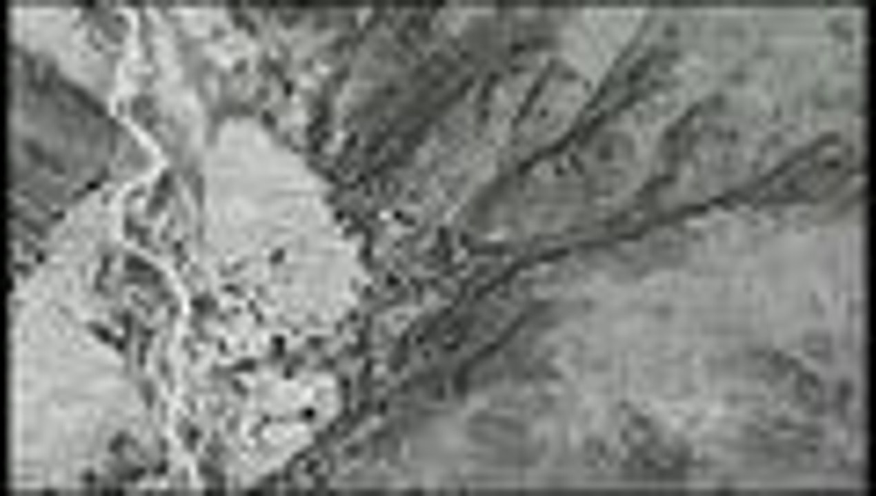 20170414_F5A595DC_BBD5_4CB2_ADF5_7F540AFA30AA_161-alta