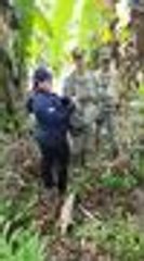 Rescate Oso perezoso