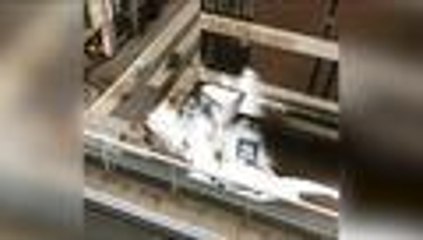 En video: el atentado que dejó cuatro muertos y quince heridos en el centro de Estocolmo