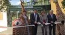 Zoo de Viena inaugura nuevo parque de jirafas