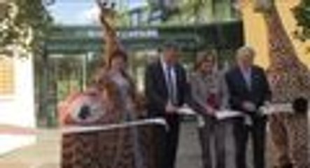Zoo de Viena inaugura nuevo parque de jirafas
